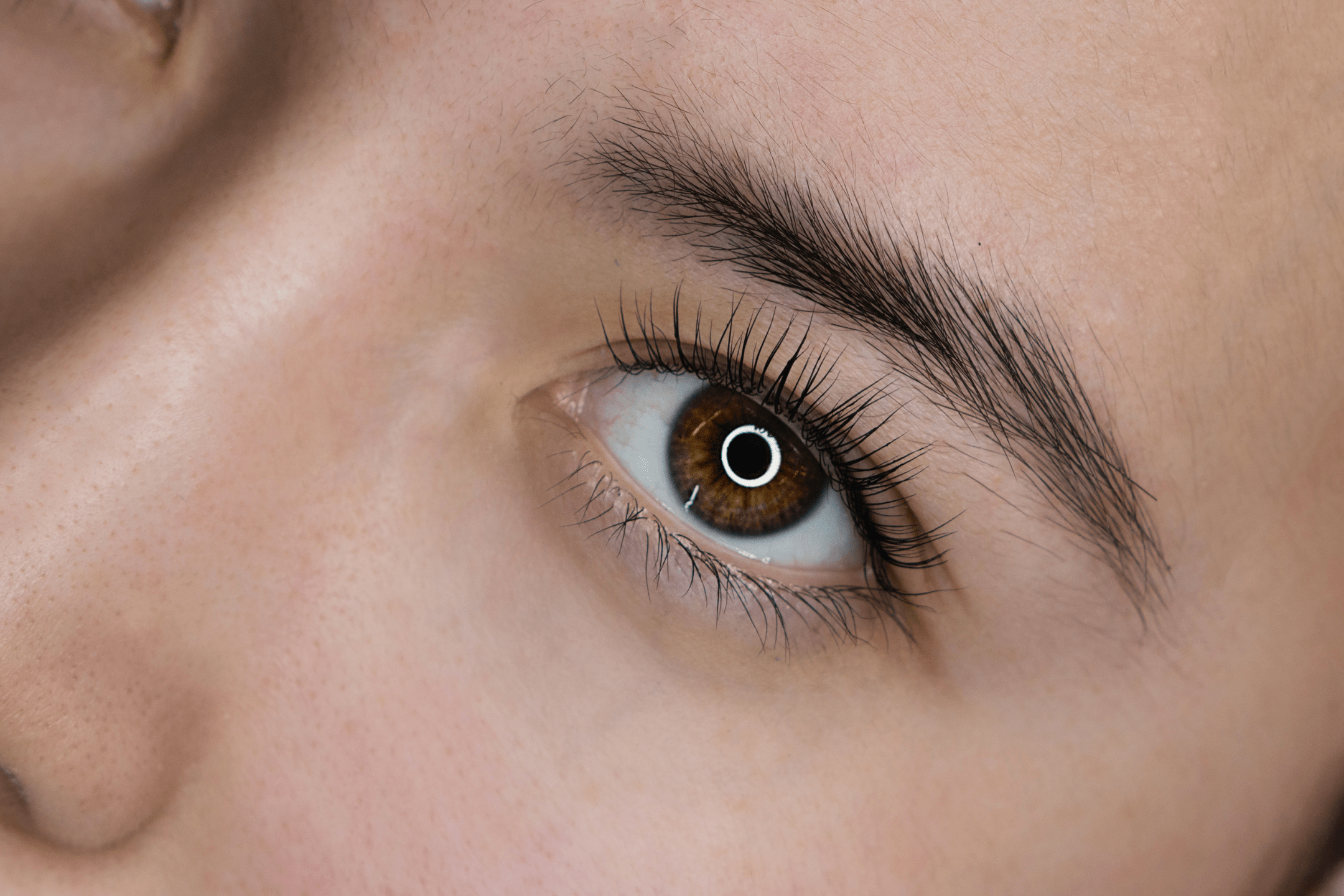 Complete Guide to Wet Set Lashes (Eyelash Extensions)