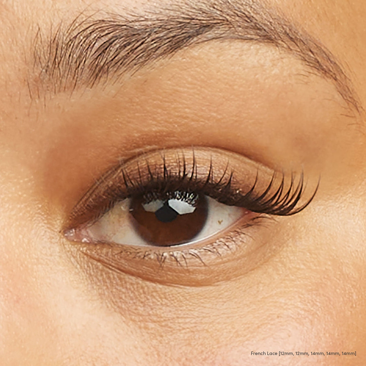 Lace It Up Vegan Segment Lashes D / Short / 08-10-12