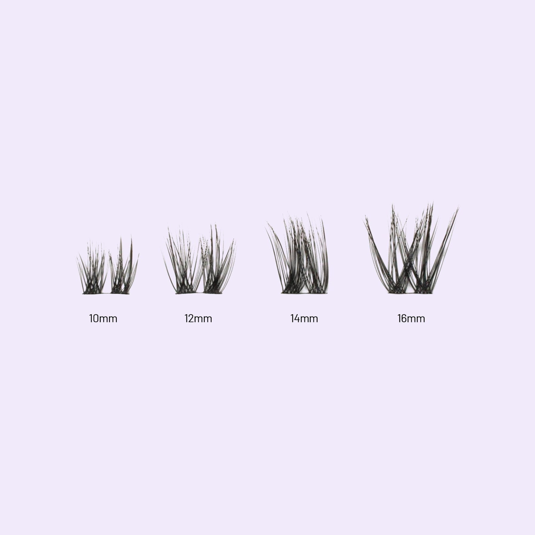 Lilac St. Feather Lash Extensions different lenghts