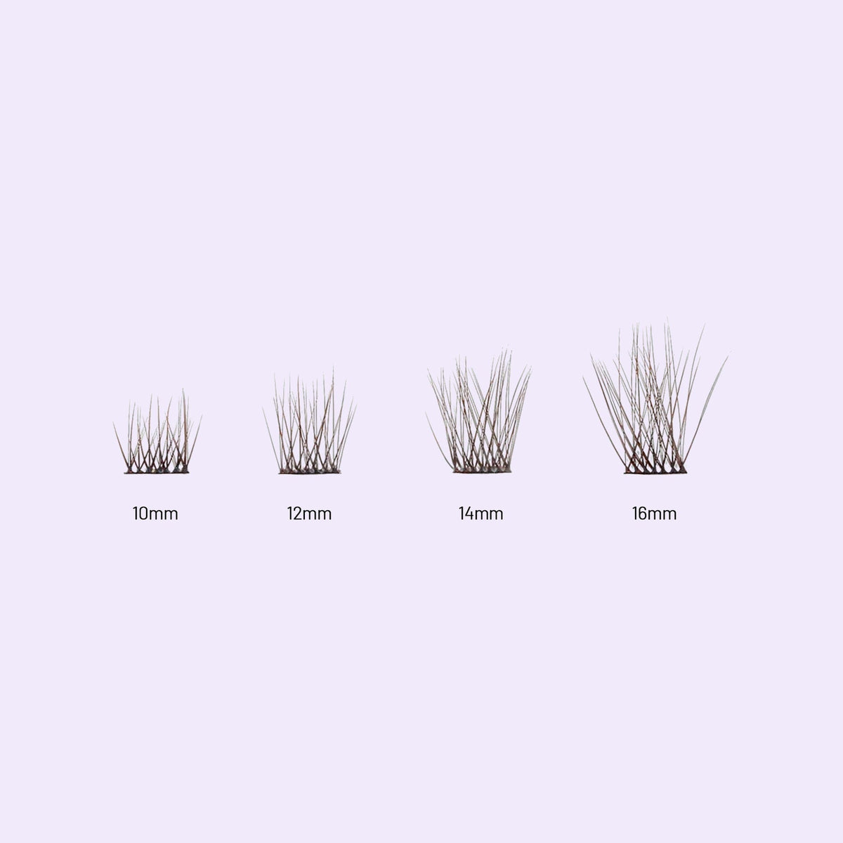 Lilac St. Originals Espresso Eyelash Extensions different lengths