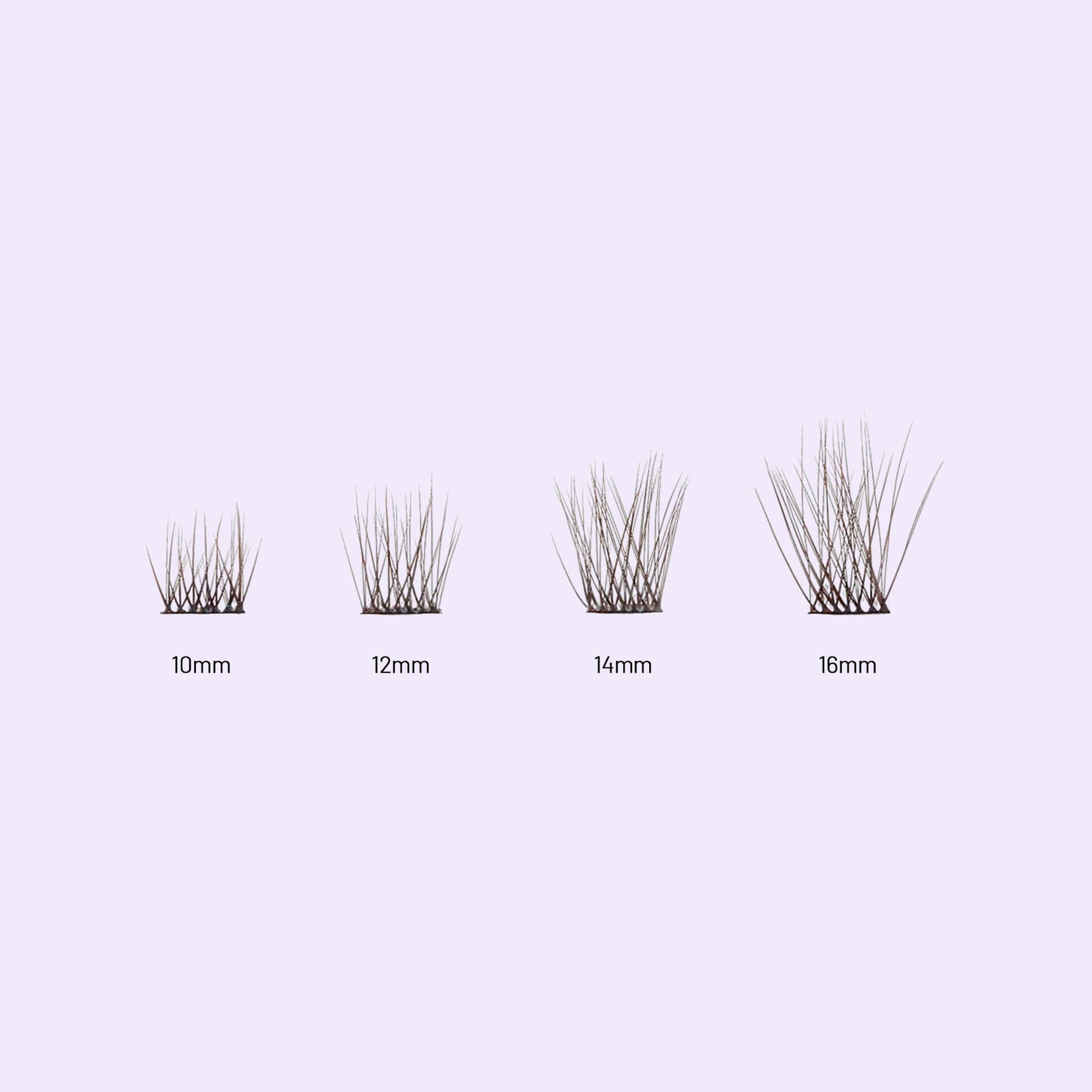 Lilac St. Originals Espresso Eyelash Extensions different lengths