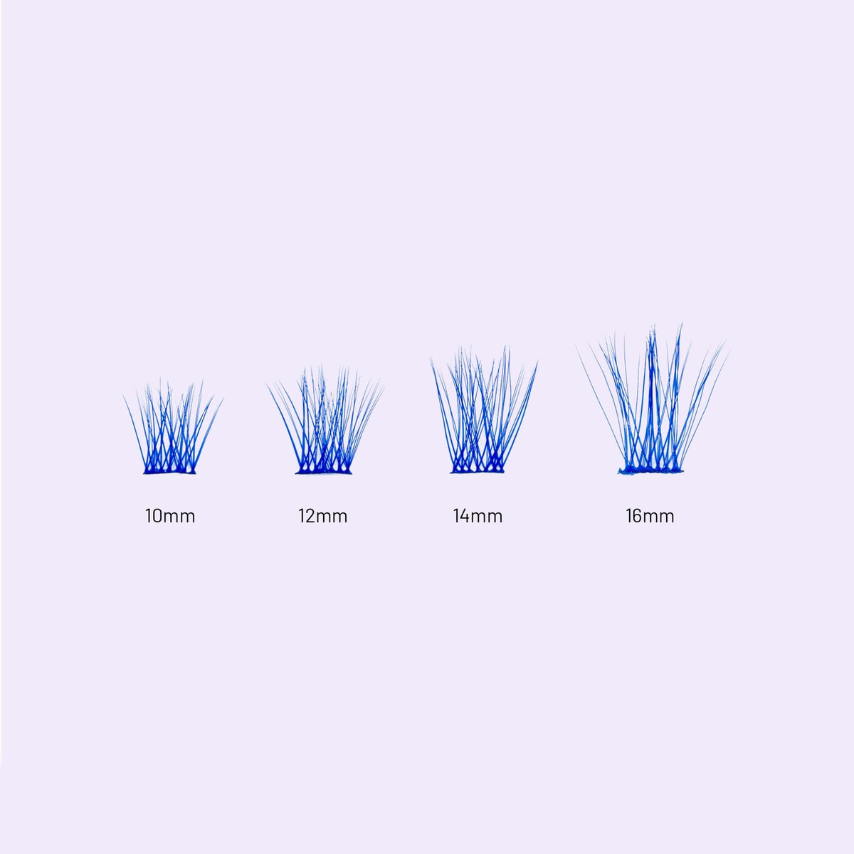 Lilac St. Originals Sapphire Eyelash Extensions different lengths