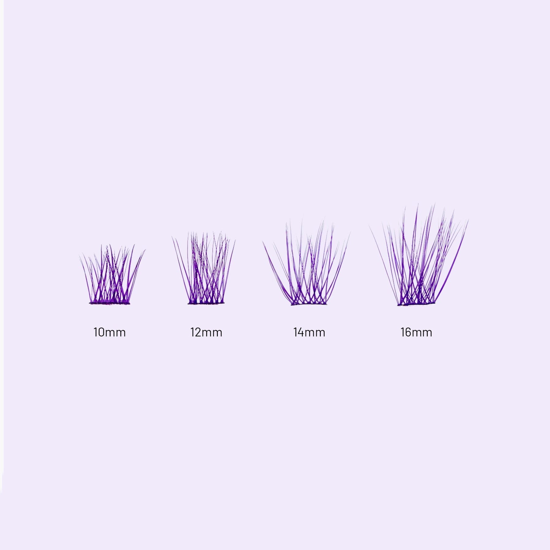 Lilac St. Originals Ultraviolet Eyelash Extensions different lengths