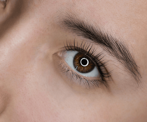 Complete Guide to Wet Set Lashes (Eyelash Extensions)