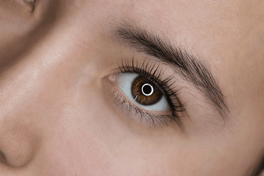 Complete Guide to Wet Set Lashes (Eyelash Extensions)