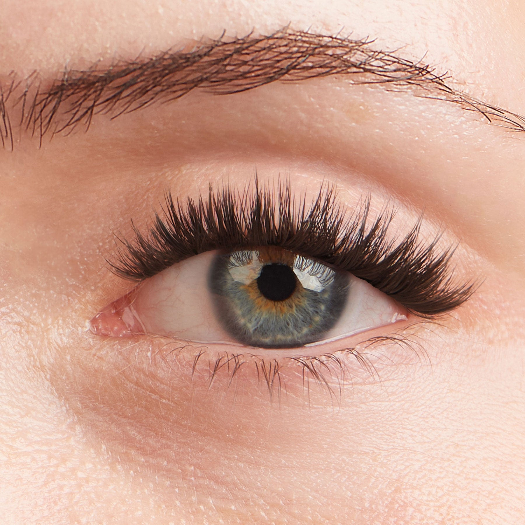 Volume Lash Extensions – Lilac St.