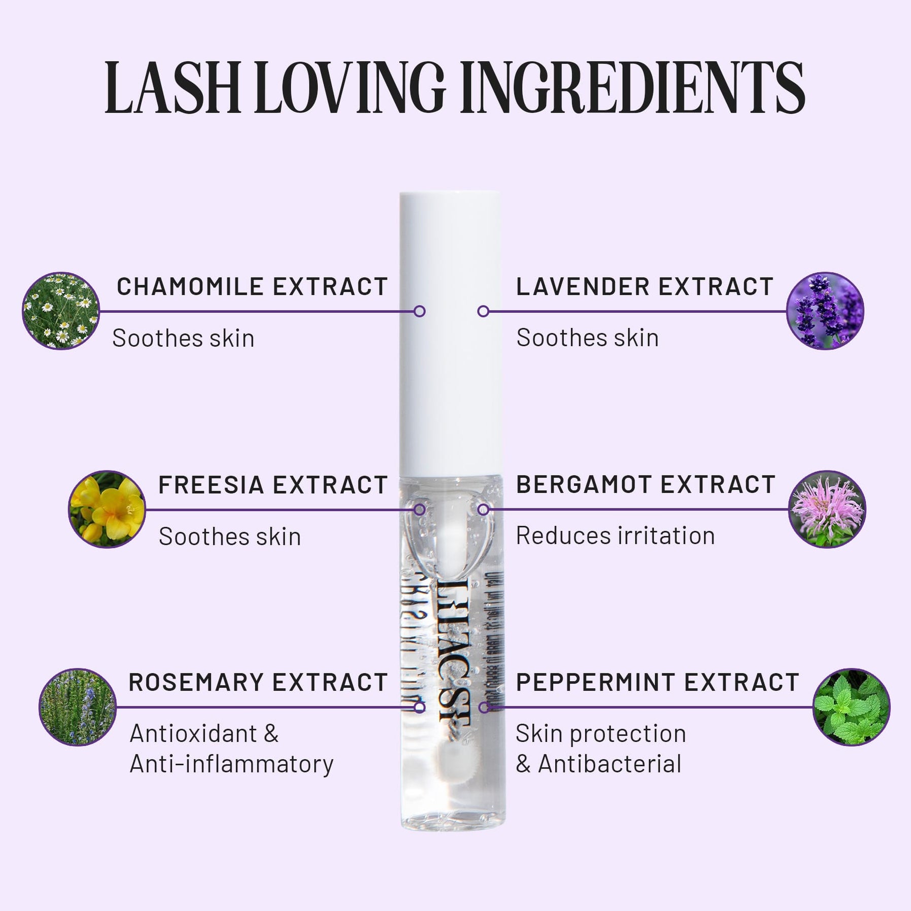 Lash Loving Ingreadients: Chamomile Extract soothes skin. Lavender Extract soothes skin. Fresia Extract soothes skin. Bergamot Extract reduces irritation. Rosemary Extract antioxidant and anti-inflammatory. Peppermint Extract skin protection and antibacterial. 