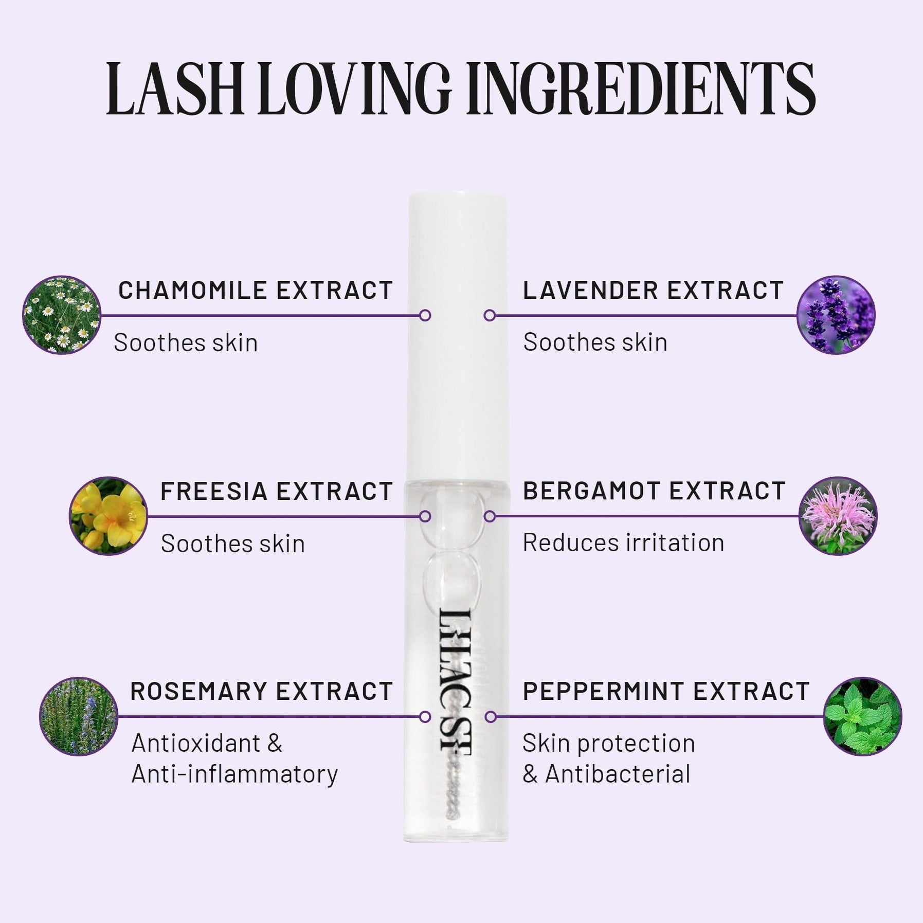 Lavender Extract: Soothes skin. Peppermint Extract: Skin protection, Antibacterial. Bergamot Extract: Reduces irritation. Freesia Extract: Moisturizing. Chamomile Extract: Soothes skin. Rosemary Extract: Antioxidant, Antiinflamitory. 