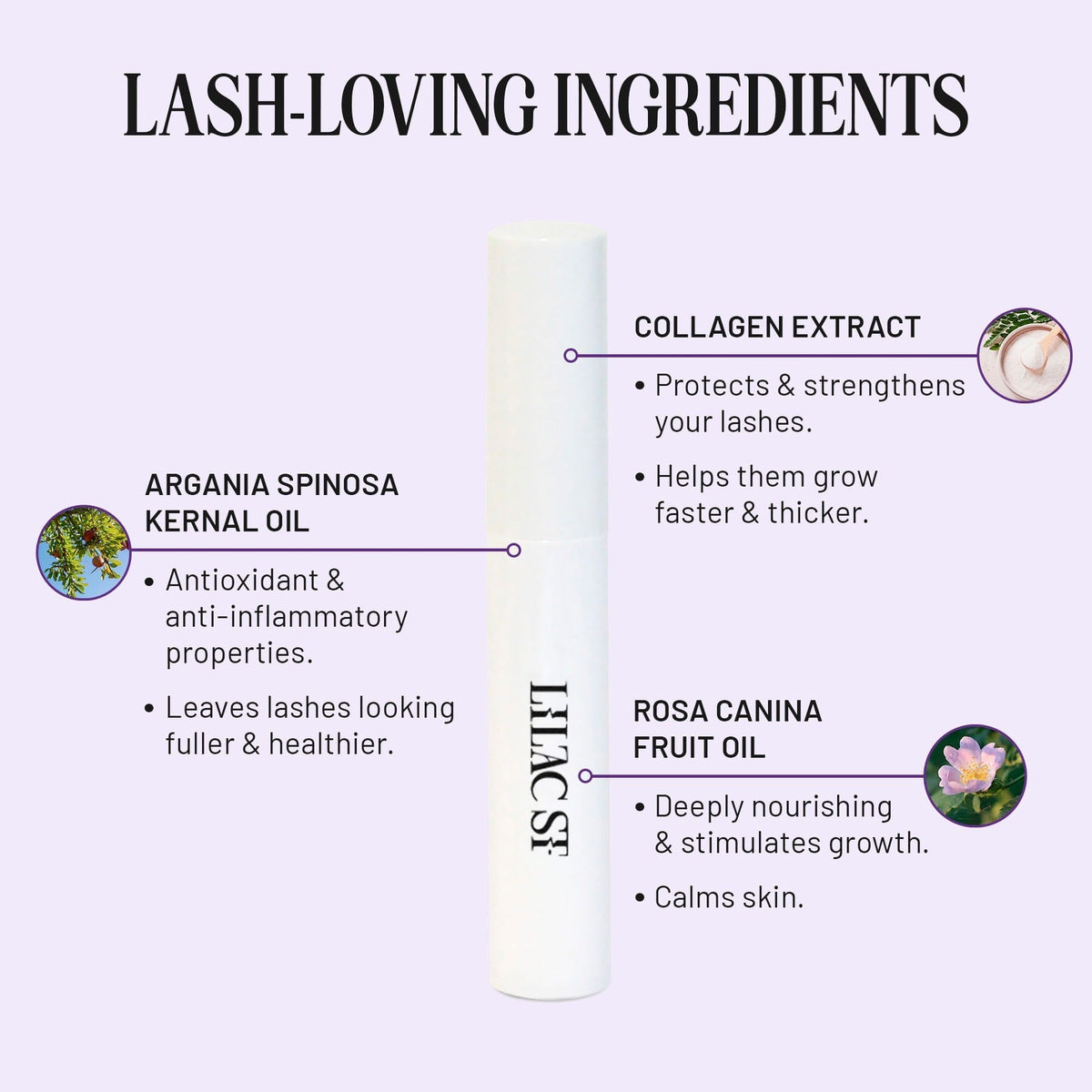 Lash-Loving Ingredients: Arganda Spinosa Kernal Oil (Antioxidant & anti-inflamatory properties. Leaves lashes looking fuller & healthier.) Collagen Extract (Protects & strengthens your lashes. Helps them grow faster & thicker.) Rosa Canina Fruit Oil (Deeply nourishing & stimulates growth. Calms skin.)