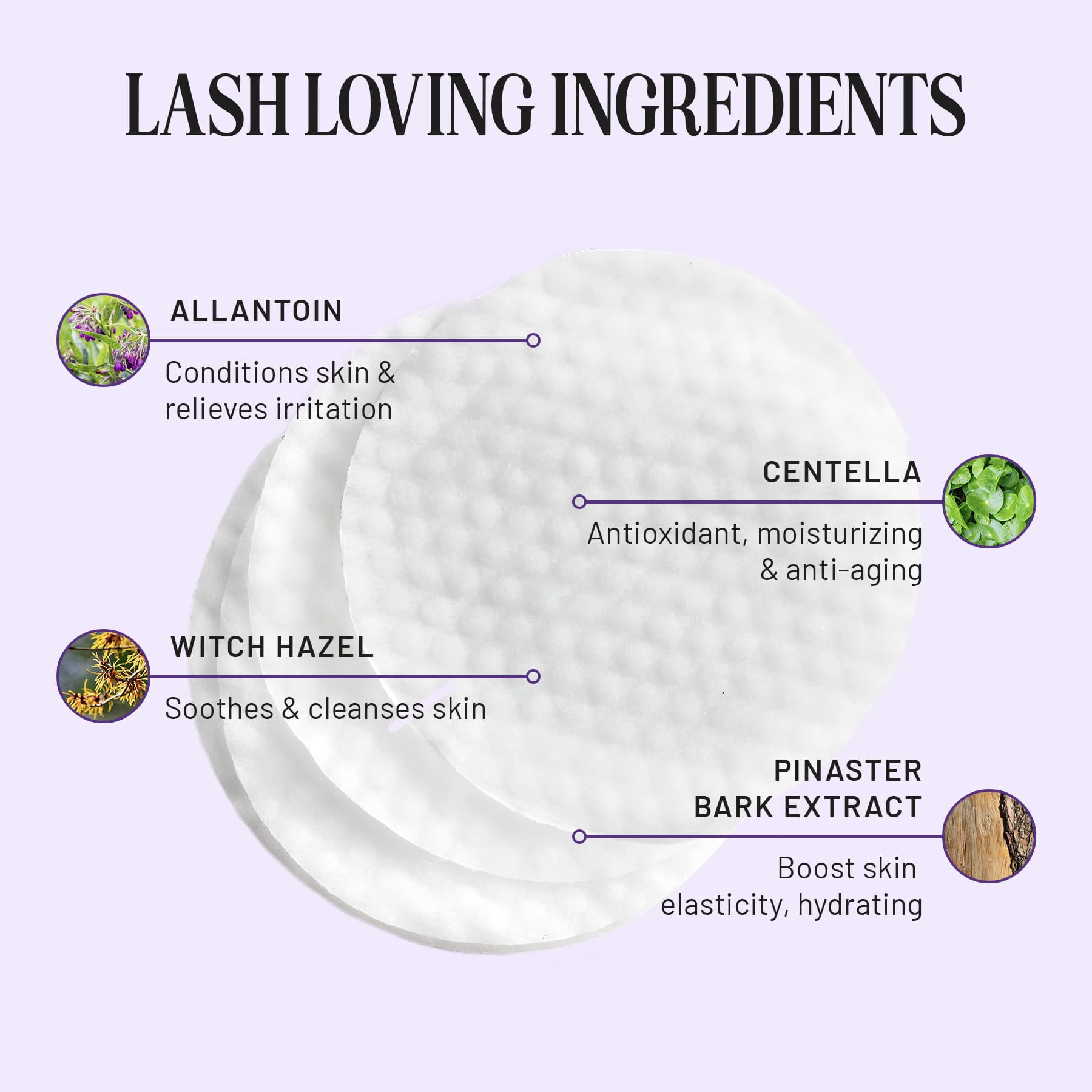 DIY Eyelash Extension Kit | Expert Application Bundle | Lilac St.
