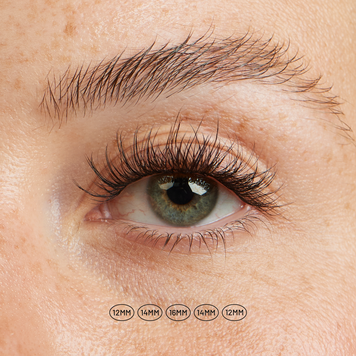 Aura NanoSoft lash clusters on a green eye, with lengths labeled 12mm, 14mm, 16mm, 14mm, and 12mm.