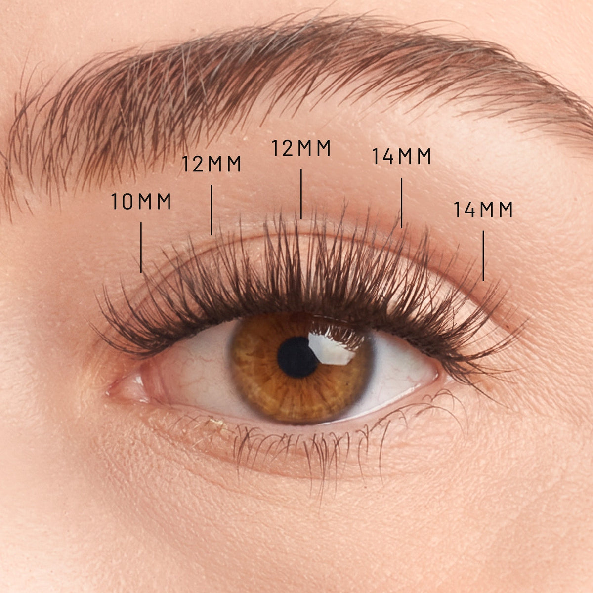 Pre-Mapped Deluxe Starter Kit - Ember