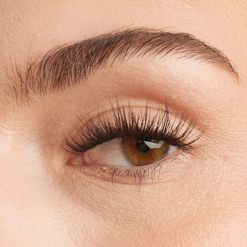 Deluxe Starter Kit Set - Ember