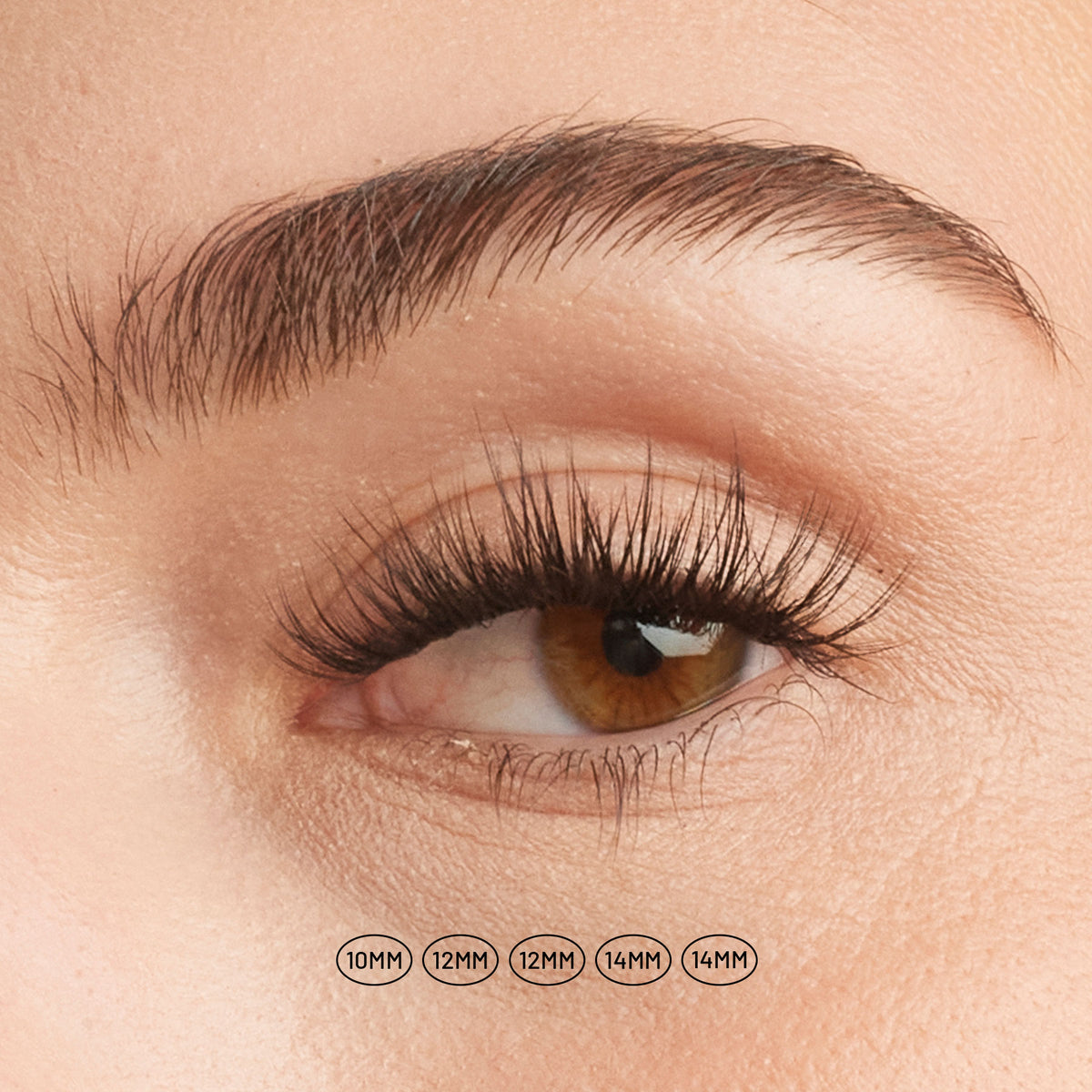Ember NanoSoft lash clusters on a brown eye, with 10mm, 12mm, and 14mm lengths shown below.