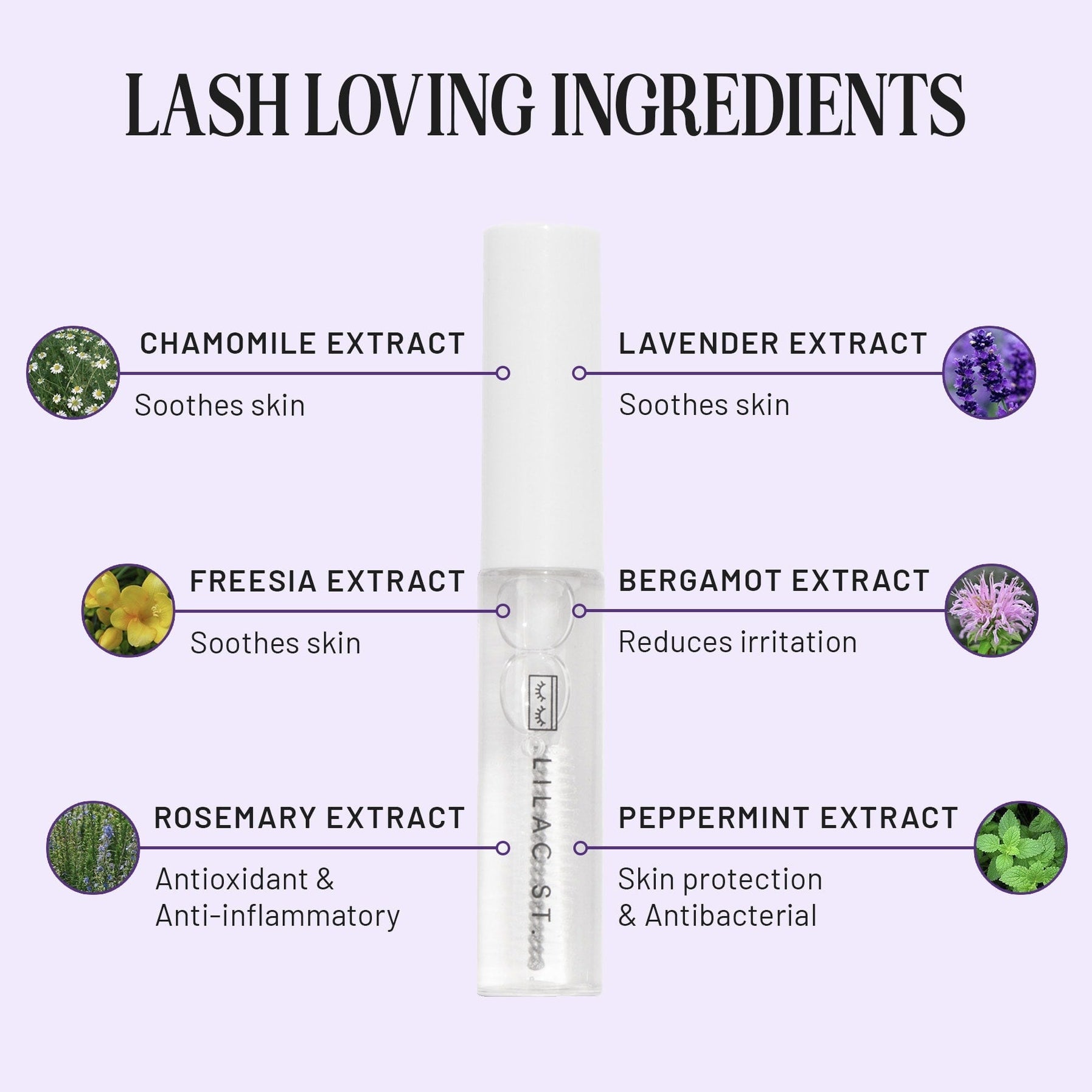 Lavender Extract: Soothes skin. Peppermint Extract: Skin protection, Antibacterial. Bergamot Extract: Reduces irritation. Freesia Extract: Moisturizing. Chamomile Extract: Soothes skin. Rosemary Extract: Antioxidant, Antiinflamitory. 