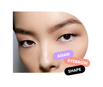 Korean Eyebrow Shape Lilac St